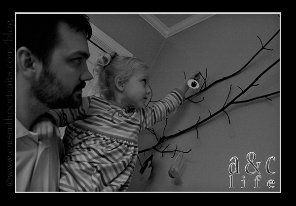 jesseblog-026 jesseblog-026